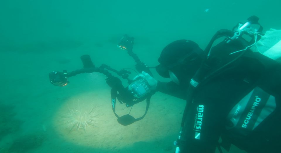 Marmara Adaları'na sucul destek