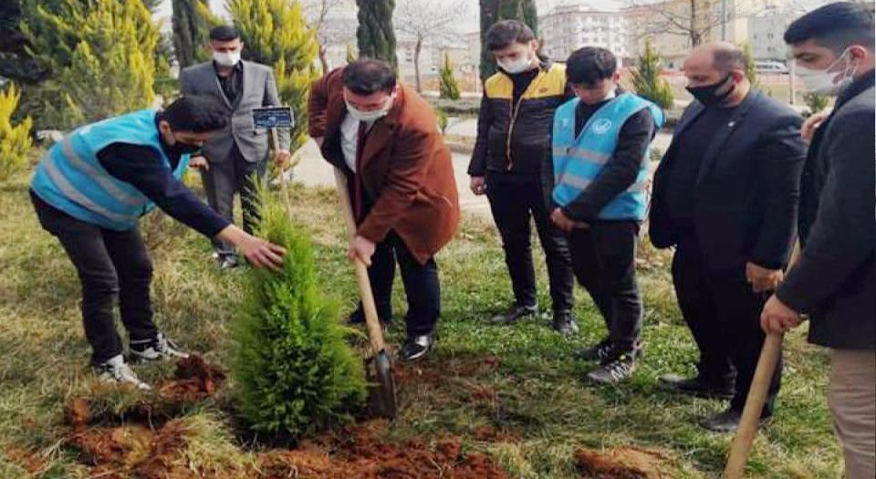 Kilis Ülkü Ocakları, şehit Çakıroğlu anısına fidan dikti