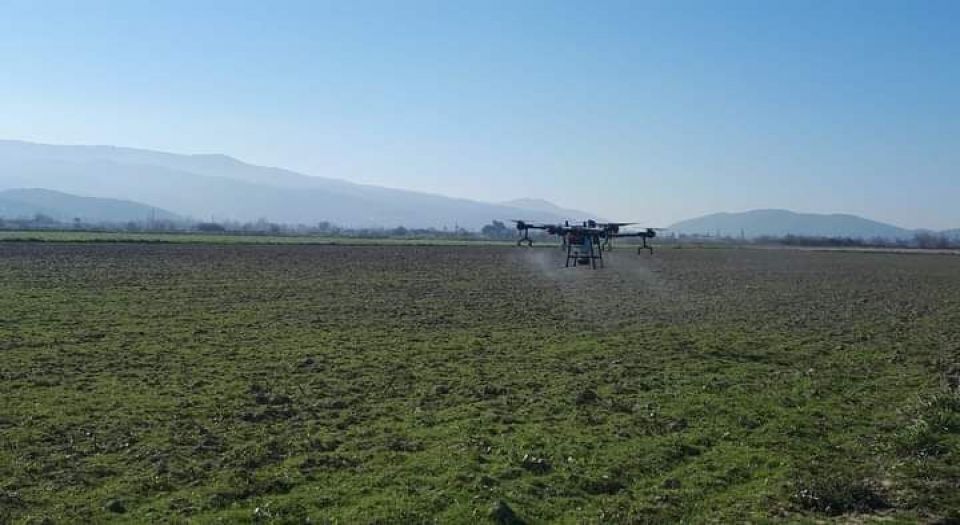 Aydın Koçarlı'da drone ile ilaçlama dönemi