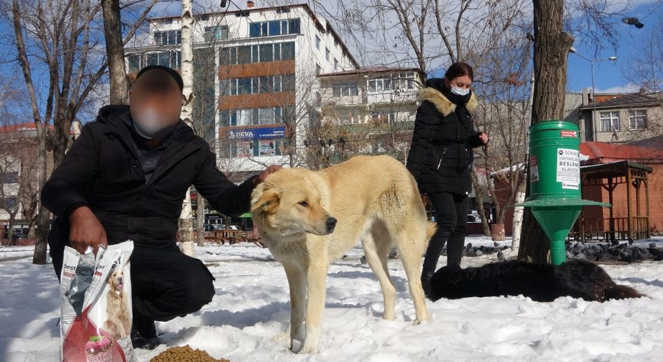 Ardahan'da sokak hayvanlarını besledi, yargılanmaktan kurtuldu!