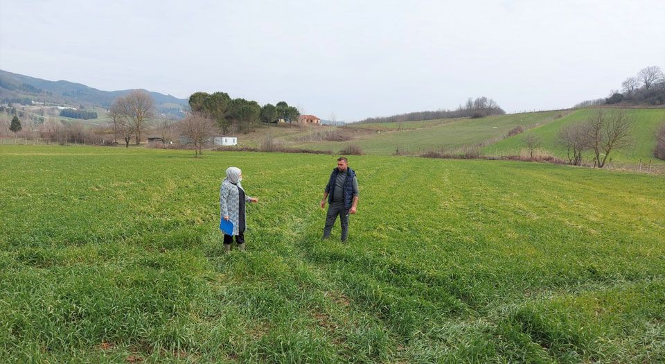 Kocaeli'de tıbbi ve aromatik bitki yetiştiriciliğine yoğun ilgi