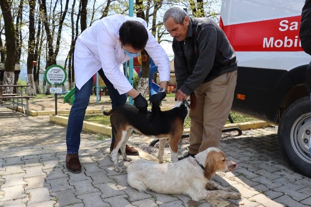 Ambarcı'nın sevimli patileri 'Patibüs' ile aşılandı