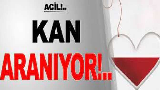 Acil AB Rh Pozitif kan aranıyor