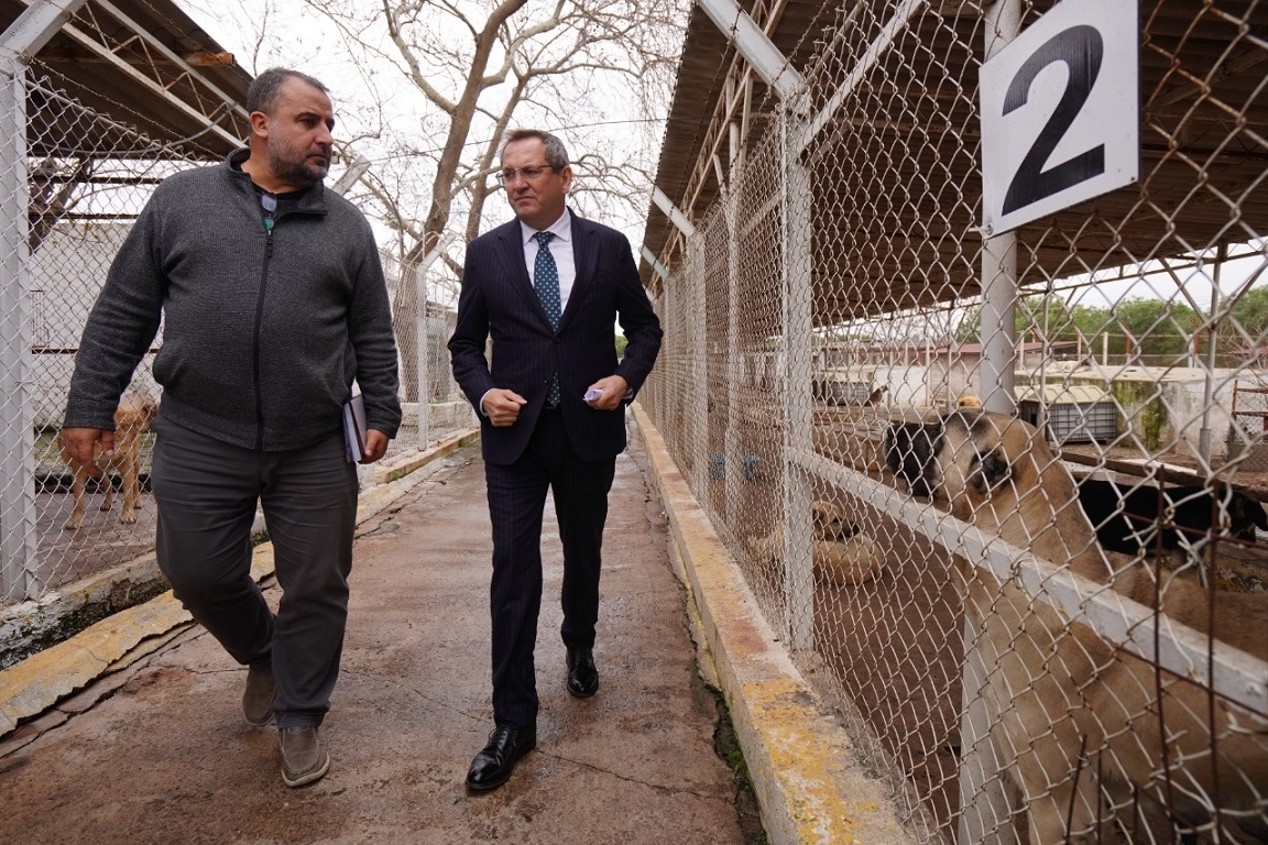 Balıkesir Ayvalık can dostların yanında