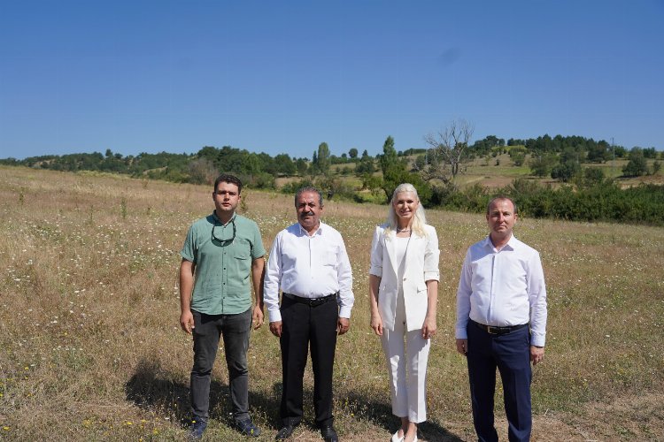 Bilecik bal kabağı yetiştirecek