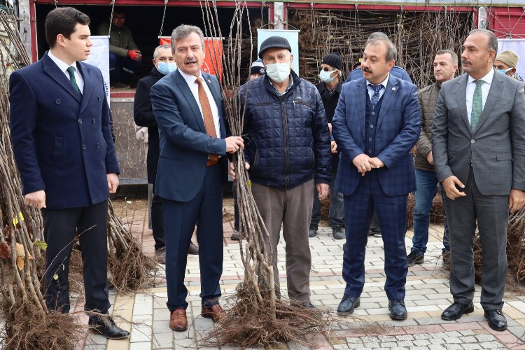 Bursa'da Harmancık 'ayva' ile markalaşacak