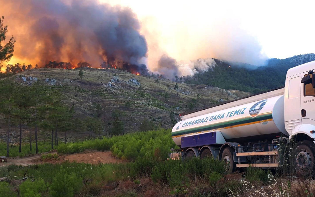 Bursa Osmangazi ekipleri yangın bölgesinde