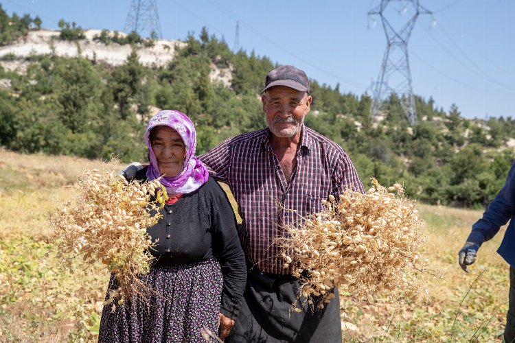 Büyükşehir'den toprağa bereket desteği