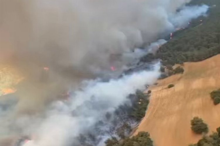 Çanakkale Eceabat'ta yangına müdahale sürüyor!