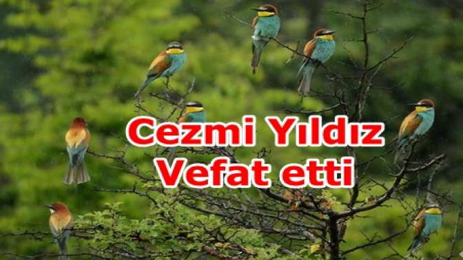 Cezmi Yıldız Vefat etti