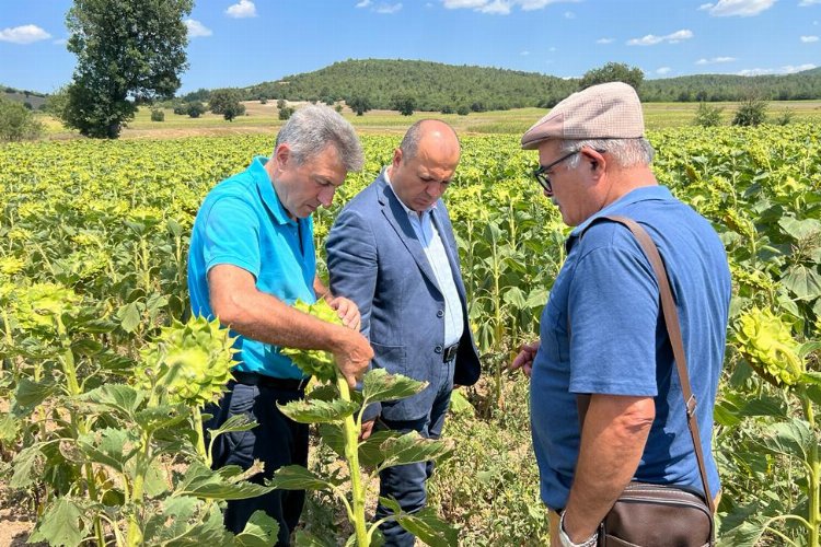 CHP'li Tekirdağ Milletvekili Aygun, Tarım Bakanı'na Bursa Ovası'ndan seslendi