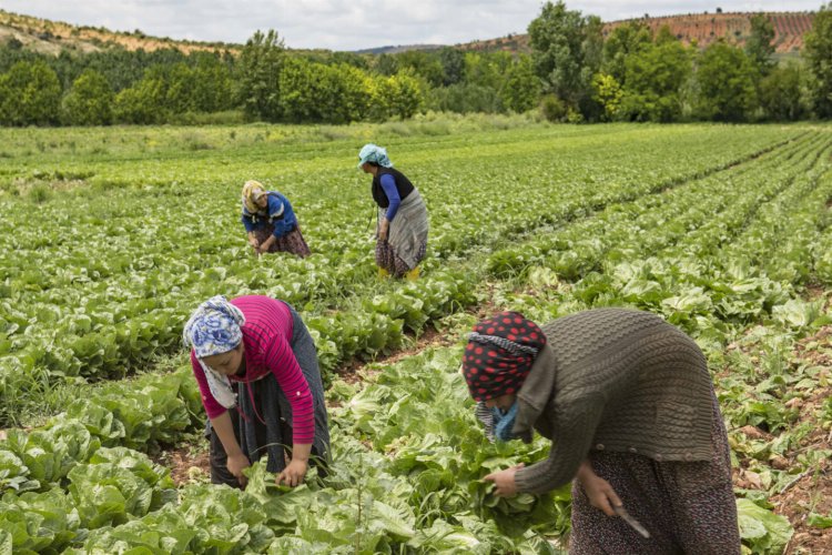 Eğitimli yerel üretici kadınların ürünlerini satışta