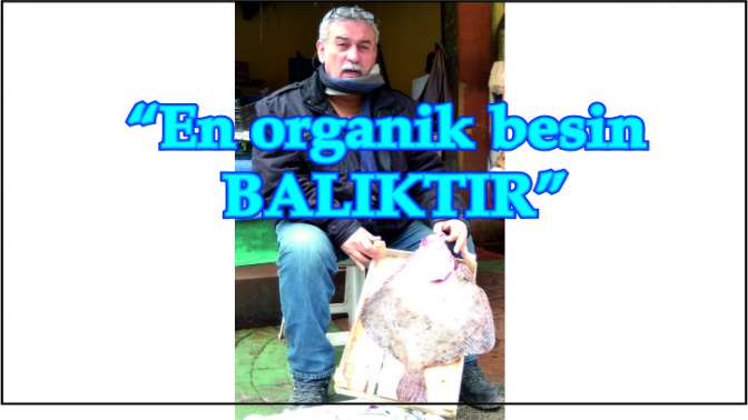 “En organik besin balıktır”