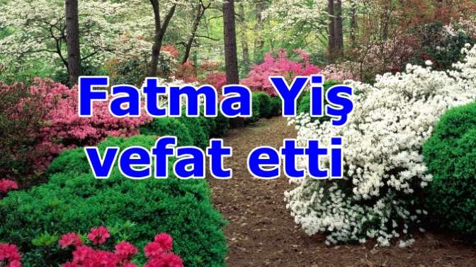 Fatma Yis vefat etti