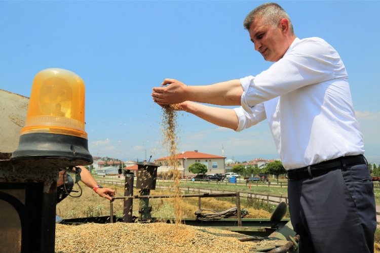 Göcük'te bu kez yem bitkisi yetişecek