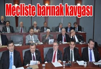 İL GENEL MECLİSİNİN GÜNDEMİNDE HAYVANLAR VARDI