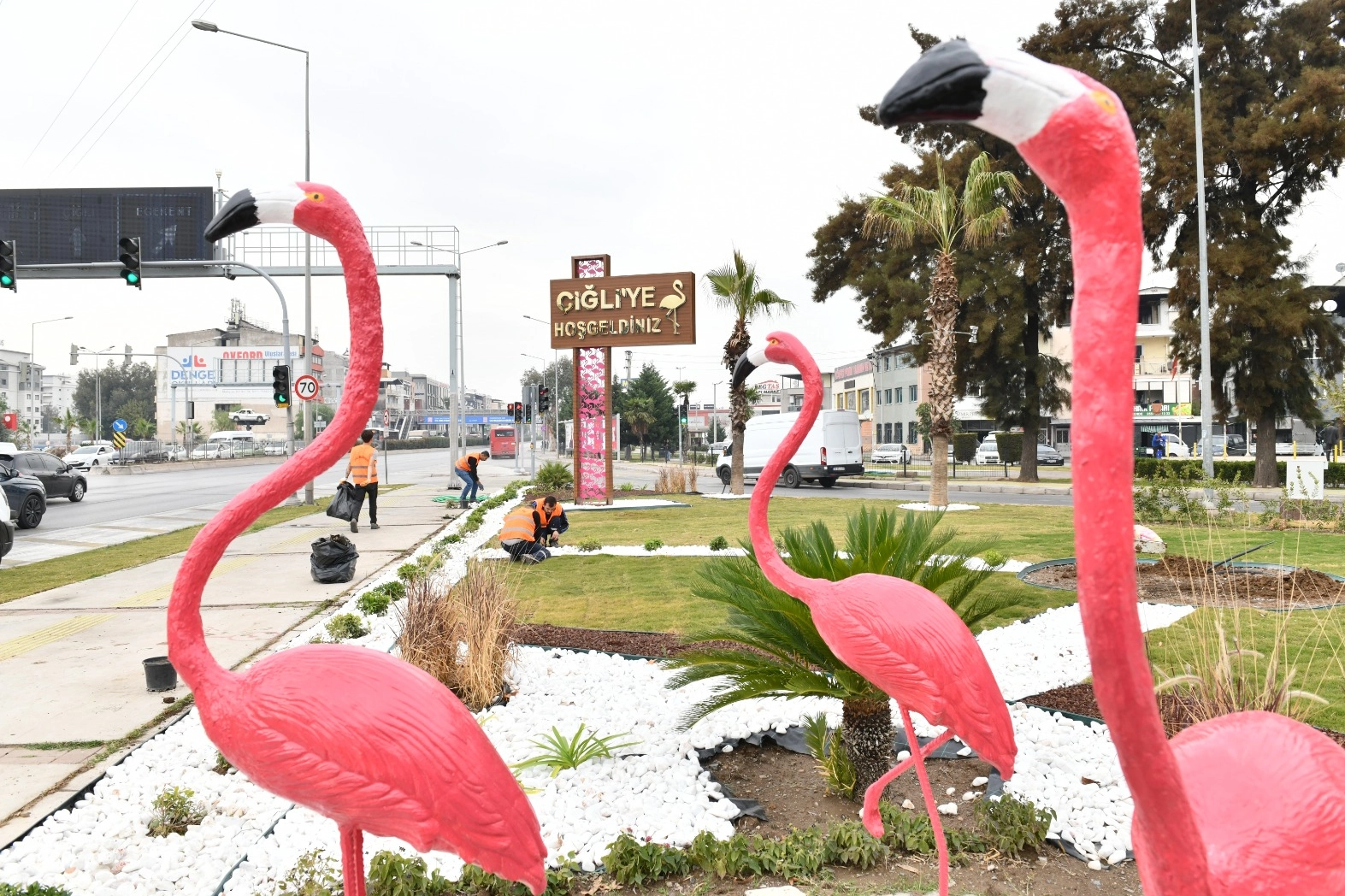 İzmir Çiğli'de ziyaretçileri flamingolar karşılıyor