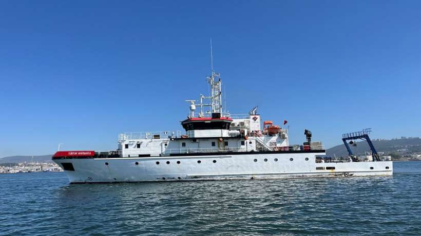 İzmit Körfezi’nde Deniz Ekosistemi Hayat Buluyor