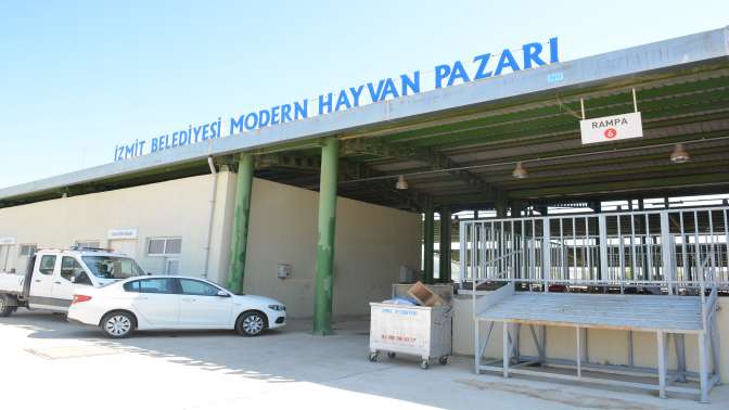 İzmit Modern Hayvan Pazarına kurbanlıklar getirildi