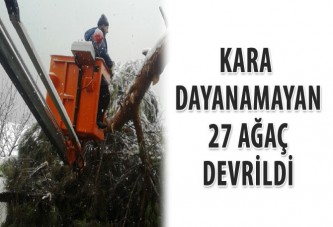 Kara dayanamayan 27 ağaç devrildi