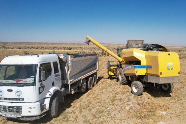 Kayseri Talas'ta aspir mesaisi başladı