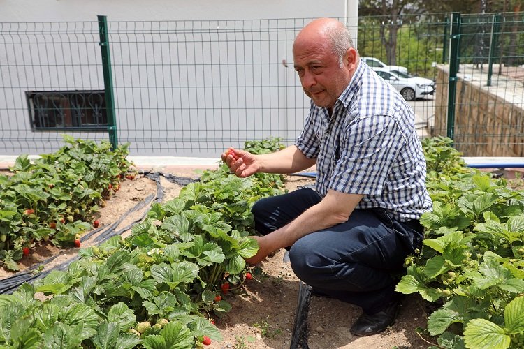 Kayseri Talas'tan deneme bahçelerine teşvik