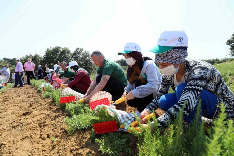 Kentten kırsal teşvik projesi