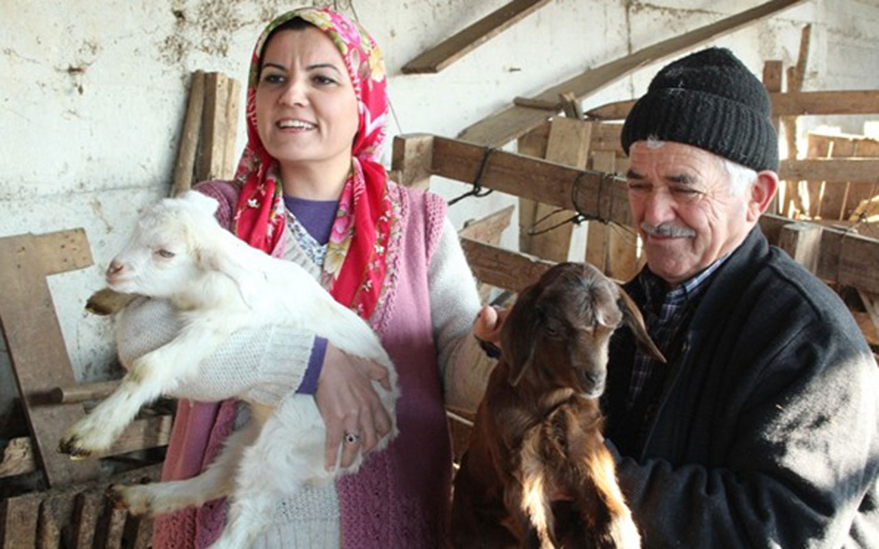 Kocaeli İzmit’te süt üreticilerine destek