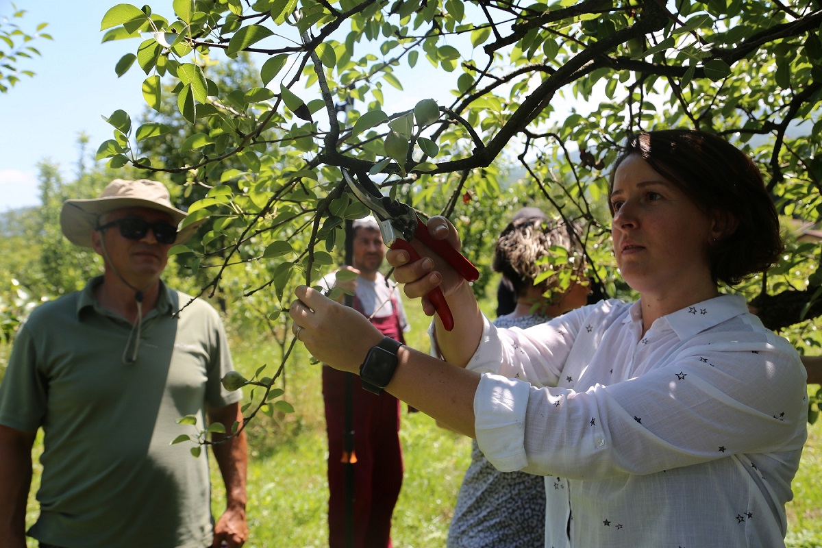 Kocaeli’nde fidancılık kursiyerleri artık daha bilinçli