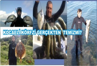 Körfez gerçekten temizlendimi?