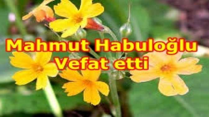 Mahmut Habuloğlu Vefat etti