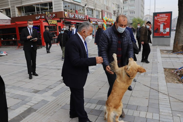 Memduh Büyükkılıç patili dostlarla buluştu