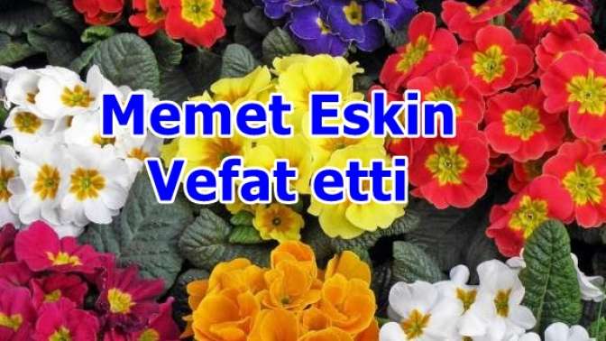 Memet Eskin Vefat etti