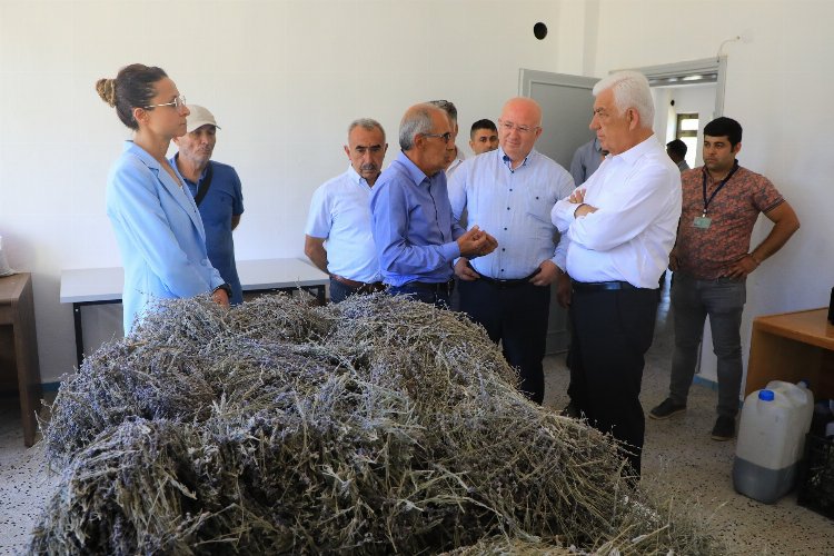 Muğla’da 'tarımsal güçbirliği' üreticiye kazandırıyor