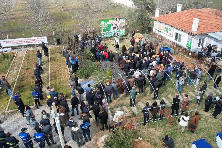 Muğla'da üreticilere fidan dağıtımına başladı