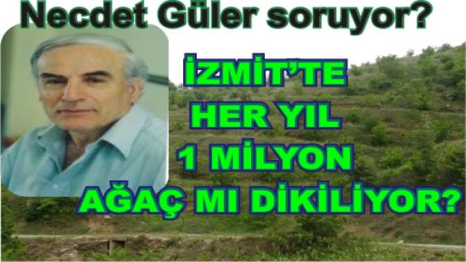 Necdet Güler: Soruyor