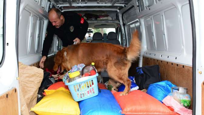 Parklar Berkemal’ uygulamasında suç unsuruna rastlanmadı