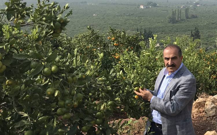 Rekolte kaybına bölgesel mücadele