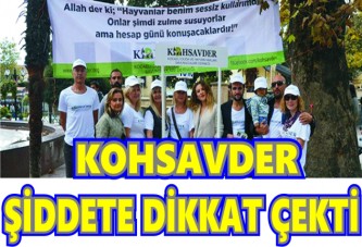 Sokak Hayvanlarına Uygulanan Şiddete Dikkat Çektiler