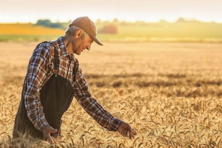 Tarım Ürünleri Üretici Fiyat Endeksi yıllık yüzde 72 arttı