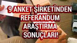 9 anket şirketinden son dakika referandum araştırma sonuçları