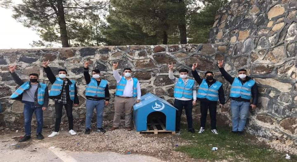 Kilis Ülkü Ocakları'ndan sokak hayvanlarına kulübe