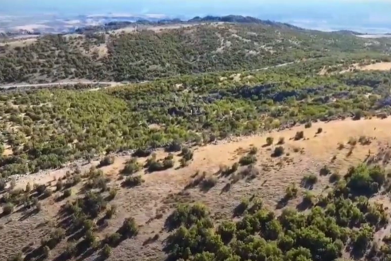 Adıyaman’da kaybolan 52 küçükbaş hayvan jandarma tarafından bulundu