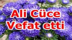 Ali Cüce Vefat etti