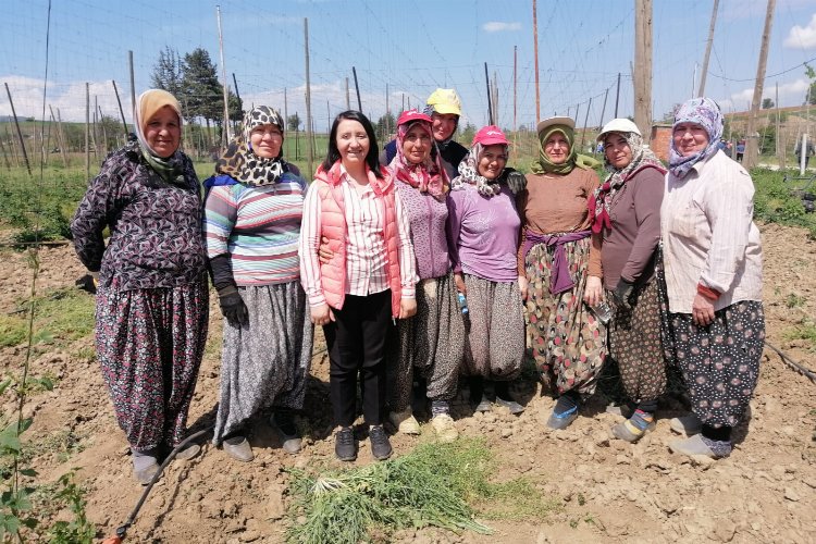 Bilecik Pazaryeri'nde yetişen şerbetçiotu üreticisi iplikleme mesaisinde