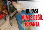 Burası kümes değil lokanta