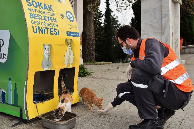 Bursa'da Yıldırım Belediyesi can dostlarına yuva olmayı sürdürüyor