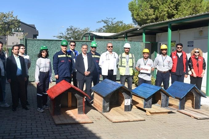 Bursa Gemlik'te patili canlar koruma altında