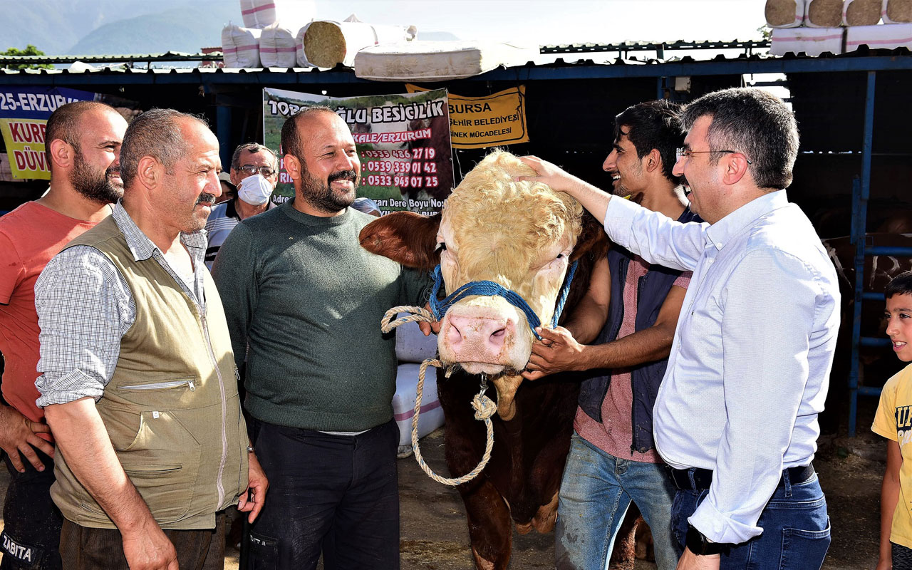 Bursa Yıldırım’da kurban pazarına ziyaret