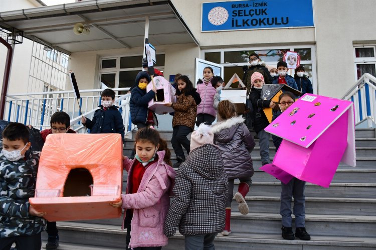 Bursa İznik'te öğrencilerden her okula kedi yuvası